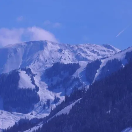 In Near Hohe Tauern Appartement