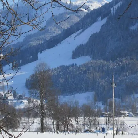 Appartement In Near Hohe Tauern